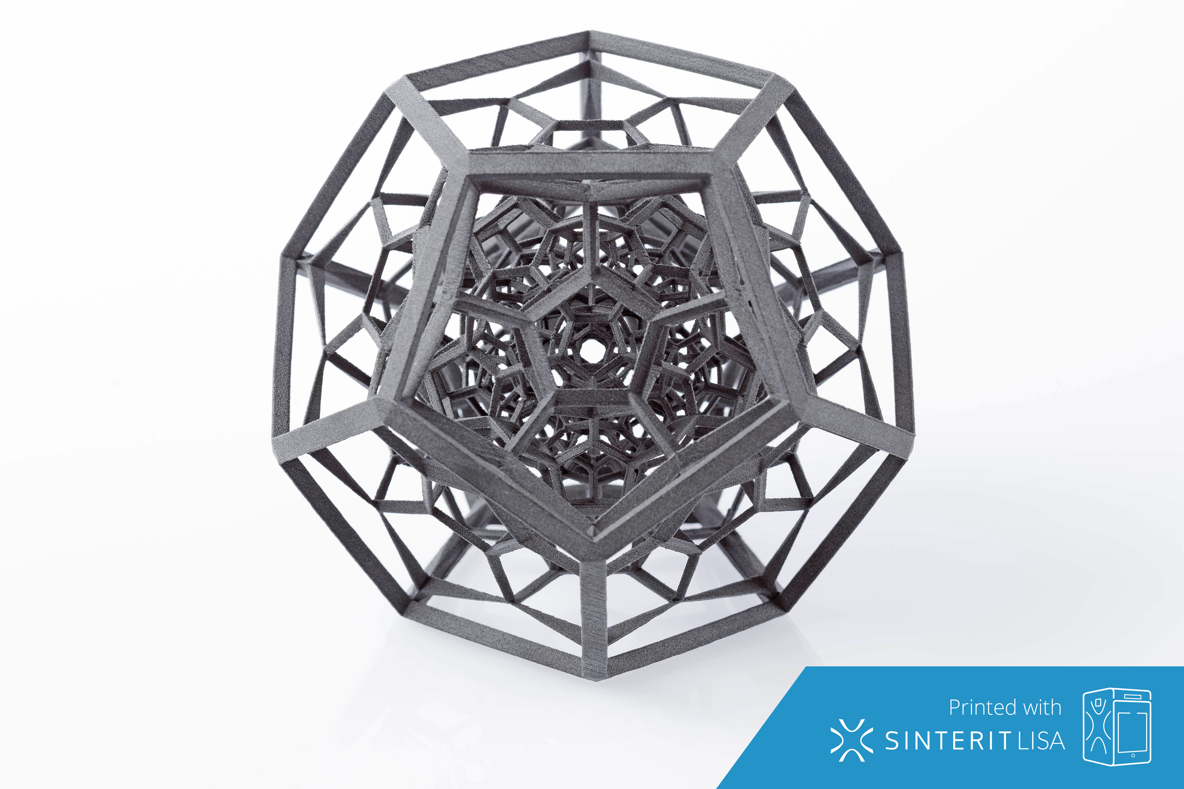 Sinterit-120-cell-chunk XYZware SLS SLS3D